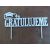 Gratulujeme (k promóciám) Gratulujeme (k promóciám)
